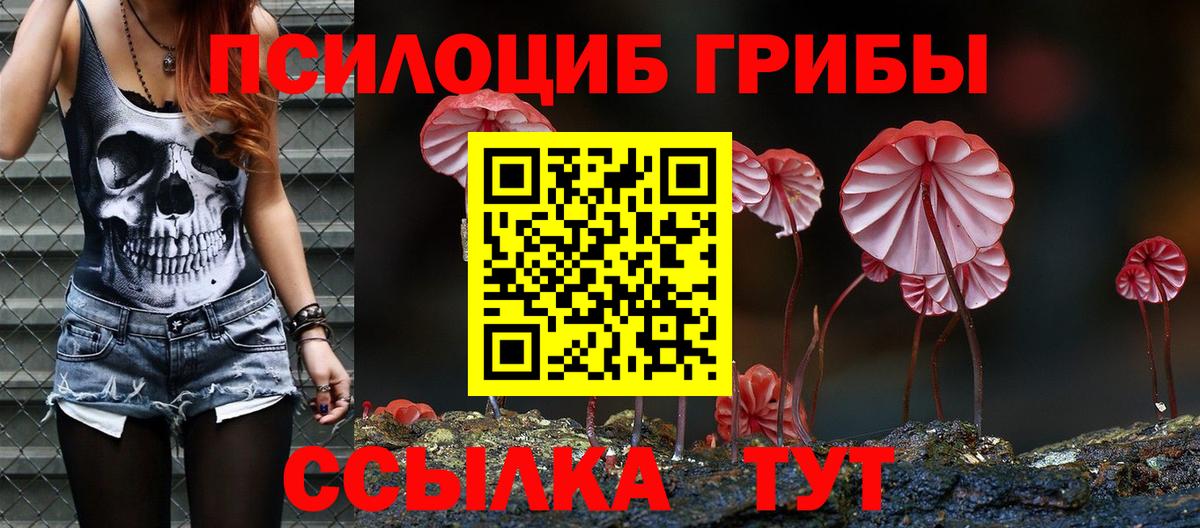 Псилоцибиновые грибы Magic Shrooms Кострома