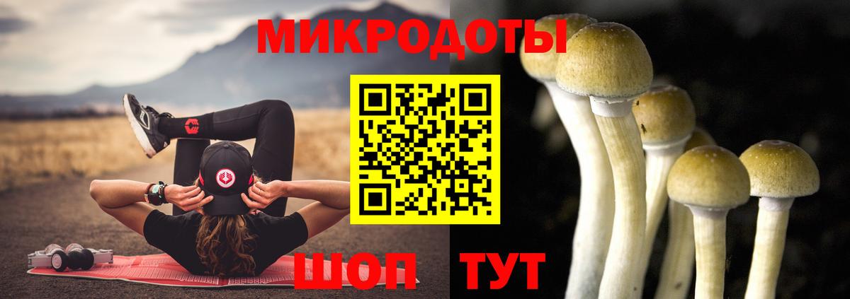 Галлюциногенные грибы Magic Shrooms  Вход с VPN  Кострома  как найти закладки  Псилоцибиновые грибы ЛСД 