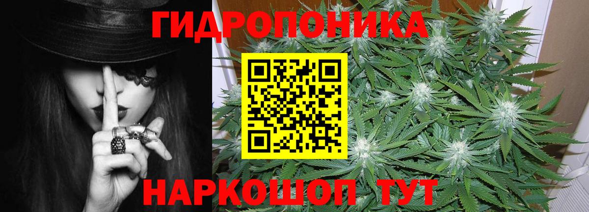 Бошки Шишки ГИДРОПОН  Шишки марихуана Bruce Banner  Канабис гибрид  Бошки Шишки Amnesia  Вход с VPN  Кострома 