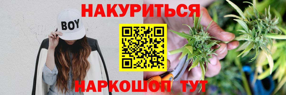 Каннабис конопля Кострома